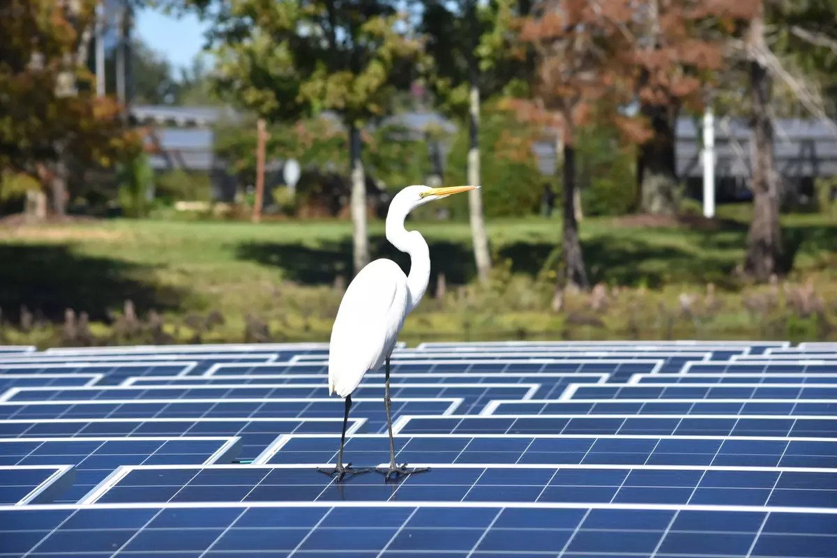Environmental Advantages and Benefits of Solar Power